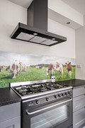 Boomgaardstraat 3-a, 4701he, Roosendaal-20.jpg